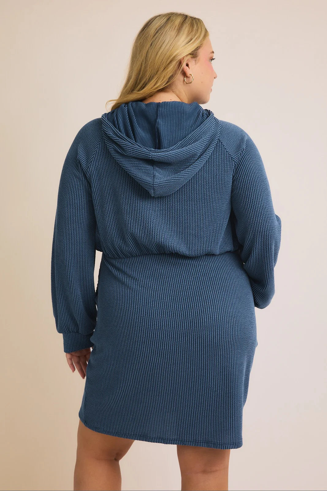 Plus Size Textured Long Sleeve Hooded Dress